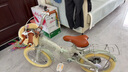 永久（FOREVER）兒童自行車(chē)2-6歲男女孩可折疊中大童學(xué)生單車(chē)14寸云母灰 曬單實(shí)拍圖