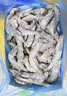 百年漁港海捕對蝦超大鹽凍只只分離白蝦  30-40規格 凈蝦重4斤 60-80只 曬單實(shí)拍圖