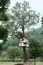 騰龍（Tamron）B070 17-70mm F/2.8 VC防抖大光圈微單鏡頭17-70風(fēng)光人像旅行半畫幅1770 索尼E卡口 套餐二【送UV禮包+騰龍CPL偏振鏡】 曬單實(shí)拍圖