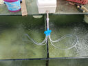 柏卡樂(lè )交直流增氧泵充電大功率增氧機海鮮魚(yú)池養殖養魚(yú)充氧機魚(yú)缸氧氣泵 功率35W 6孔 鋰電池 指示燈款 40斤內魚(yú) 曬單實(shí)拍圖