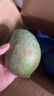 京鮮生 攀枝花凱特芒果 凈重4.5斤 單果300g+ 生鮮水果源頭直發(fā) 曬單實(shí)拍圖