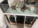 森森（SUNSUN）原生態(tài)溪流缸25年新款造景金魚(yú)缸客廳超白玻璃底濾魚(yú)缸包安裝 1.2米大觀(guān)賞面47寬 超白底濾 白色 基礎款 曬單實(shí)拍圖