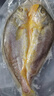 鮮京采醇香黃魚鲞5條/2.5斤(單條230-255g)三去處理 寧德地標(biāo) 源頭直發(fā) 曬單實(shí)拍圖