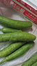 農(nóng)家自種長(zhǎng)絲瓜綠色蔬菜夏季減肥解暑山東現(xiàn)發(fā)鮮嫩 新鮮絲瓜 5斤 凈重 曬單實(shí)拍圖