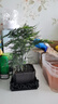 佰花錦文竹桌面盆栽新中式綠植辦公室客廳盆景茶臺臥室好養(yǎng)綠植花卉植物 【送方底座】文竹+pvc舍得盆+黑沙石鋪面 20-30cm 曬單實(shí)拍圖