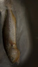 1號會員店【山姆同廠】冷凍寧德三去大黃魚 黃花魚 凈重700g/2條裝 水產(chǎn)魚 曬單實(shí)拍圖