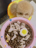 耐吉斯凍干生骨肉狗糧酶解鮮肉成犬幼犬無(wú)谷低敏鴨肉梨狗糧1.5kg 曬單實(shí)拍圖