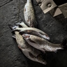 釣魚王破天翹釣魚竿10米超輕硬翹嘴鳊草魚釣竿甩大鞭大物手竿 10m 破天翹【甩大鞭破風性好】 曬單實拍圖
