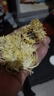 黃菊花500g特級菊花茶散裝正品婺源黃菊花中藥護肝去火清熱解毒 黃菊花500g[特級裝]含干燥劑 曬單實(shí)拍圖