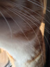 猛瑪LARK A1無線領(lǐng)夾麥克風(fēng) 手機(jī)直播收音麥 智能降噪MOMA猛犸a1麥克風(fēng)話筒多巴胺mini采訪拍攝收音器 曬單實(shí)拍圖