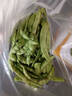 【順豐發(fā)貨】東北油豆角農(nóng)家新鮮蔬菜九月青開(kāi)鍋爛寬面油豆角 2500g【順豐快遞】 曬單實(shí)拍圖