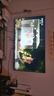 樂視TV55英寸 W55Pro 2+32GB 二級能效 國家補(bǔ)貼 以舊換新 4K超高清全面屏 游戲液晶平板電視機(jī)D55CUCHN 曬單實(shí)拍圖