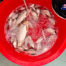 龍王恨魚(yú)餌紅蟲(chóng)鯽X5腥香餌料全年四季通用綜合野釣鯉青草魚(yú)鯽魚(yú)魚(yú)食餌料 秋冬低溫套餐【共660g/3包】 曬單實(shí)拍圖