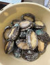 江船長(cháng) 冷凍鮑魚(yú) 凈重160g(18-22粒)袋裝 火鍋燒烤食材 海鮮生鮮 曬單實(shí)拍圖