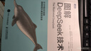 圖解DeepSeek技術(shù) 杰伊·阿拉馬爾等 著(zhù) 計算機與互聯(lián)網(wǎng) 曬單實(shí)拍圖