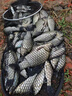 致尊坊泡泡球餌料魚餌黑坑競技散炮老滑魚回鍋魚克星鯽鯉魚混養(yǎng)浮水顆粒 泡泡球2包【共1000g，回鍋魚克星】 曬單實拍圖