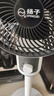 揚(yáng)子電風(fēng)扇家用空氣循環(huán)扇落地扇遙控電風(fēng)扇家用電扇立式搖頭遙控辦公室桌面風(fēng)扇 【全網(wǎng)熱銷百萬(wàn)】機(jī)械搖頭款 曬單實(shí)拍圖