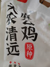 天農(nóng) 純種清遠(yuǎn)雞公雞 1.8斤 供港無抗土雞走地雞 冷凍 山林散養(yǎng)138天 曬單實(shí)拍圖