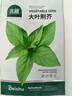 北蔬 荊芥種子苗菜籽河南大葉秋四季播蔬菜種籽 大葉荊芥種子約1000粒 曬單實(shí)拍圖