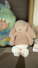 Jellycat害羞邦尼兔系列包包掛飾掛件動物毛絨玩偶娃娃生日七夕情人節(jié)禮物 胭脂粉色 One Size 曬單實拍圖