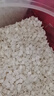 CARNO PET PRODUCTS卡諾奶油小方墊料倉鼠除臭木屑金絲熊吸水紙粒造景用品 900g 曬單實拍圖
