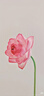 SHUANG YU一次性筷子100雙獨(dú)立包裝家用野餐衛(wèi)生竹筷 打包方便筷餐具用品 曬單實(shí)拍圖