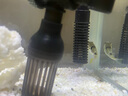 寵街坊小魚缸一體缸自循環(huán)水族箱桌面客廳小型送禮生態(tài)魚缸造景240 曬單實(shí)拍圖
