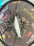 漁技碳素支架釣魚(yú)竿超炮臺支架多功能魚(yú)竿架桿大物釣魚(yú)臺釣椅釣箱架竿 2.4m 【湖庫野釣版】回彈羊角 好用不塌腰 曬單實(shí)拍圖