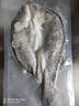 釣魚(yú)記開(kāi)背海鱸魚(yú)1斤-1.3斤 三去凈重 冷凍 生鮮 魚(yú)類(lèi) 海鮮水產(chǎn) 曬單實(shí)拍圖