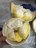 京鮮生 麒麟西瓜 凈重7-9斤 1粒裝 生鮮水果源頭直發(fā) 曬單實拍圖
