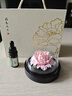 Para Ella永生花陶瓷牡丹生日禮物女生伴手禮實(shí)用七夕情人節(jié)母親教師節(jié)老師 曬單實(shí)拍圖