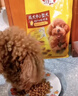 寶路狗糧全犬種通用全價糧成犬狗糧中小型犬牛肉味7.5kg【原料透明】 曬單實拍圖