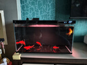 米家（MIJIA）智能生態(tài)魚缸還原自然生態(tài) 智能魚缸+濾芯套裝 曬單實(shí)拍圖