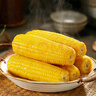 京鮮生 東北黃糯玉米250g*10棒 新鮮甜糯玉米棒真空包裝粘玉米 源頭直發(fā) 曬單實(shí)拍圖