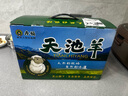 天池羊正宗新疆新鮮羊排3公斤生鮮燒烤羔羊肋排現殺現發(fā)順豐包郵6斤 曬單實(shí)拍圖