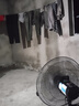林邊搖頭趴地扇工業(yè)扇家用大功率落地電風(fēng)扇工廠商用強(qiáng)力坐爬地扇 20寸搖頭趴地扇【銅線電機(jī)+鋁葉+5檔風(fēng)加強(qiáng)版】 曬單實(shí)拍圖