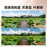 卡色（Kase）cpl偏振鏡 偏光鏡偏正鏡 佳能尼康索尼 小米14 15ultra vivoX200Ultra消除反光增加飽和度鏡頭濾鏡 三代高清低反CPL偏振鏡 86mm 曬單實拍圖
