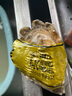 鮮海道 鮮活乳山生蠔5XL 凈重5斤 9-12只 生鮮海鮮貝類(lèi) 源頭直發(fā) 曬單實(shí)拍圖