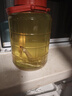 紅星二鍋頭 大二 清香型白酒 56度 500ml*12瓶 整箱裝 純糧口糧酒 曬單實(shí)拍圖