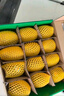 佳沛（zespri）新西蘭 陽(yáng)光金果12粒單果約122-146g 獼猴桃 中秋水果禮盒 曬單實(shí)拍圖