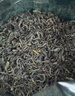 黔尚蘭頓貴州特級都勻毛尖2025新茶茶葉濃香型明前高山綠茶罐裝500g禮盒 一斤裝【2罐送手提袋】 曬單實(shí)拍圖