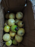 果益壽廣西欽蜜9號(hào)黃金百香果 新鮮水果白香果醬原漿整箱 30個(gè)裝 嘗鮮果【單果30g以下】 曬單實(shí)拍圖
