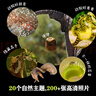 兒童紙上紀錄片 小自然 現貨速發(fā)高清圖片視覺(jué)盛宴 20個(gè)有趣的自然主題 少兒科普繪本百科全書(shū)課外讀物繪本漫畫(huà) 波點(diǎn)童趣 陪讀科普好故事 兒童紙上紀錄片 小自然 曬單實(shí)拍圖