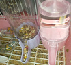 比克熊鸚鵡飲水器+喂食器套裝自動出水喝水食盒下料器喂水器喂食器 曬單實拍圖