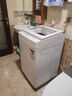 東芝（TOSHIBA）波輪洗衣機(jī)全自動(dòng) 8公斤大容量 DB-8T06 白色 不彎腰 除菌螨 宿舍租房神器 以舊換新 家電國(guó)家補(bǔ)貼 曬單實(shí)拍圖