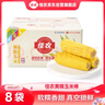 佳農 內蒙黃糯玉米棒8袋*220g 軟糯香甜 真空鎖鮮 源頭直發(fā) 禮盒包郵 曬單實(shí)拍圖