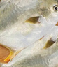 1號(hào)會(huì)員店（One's Member）甄選海南二去金鯧魚(yú)去鰓去內(nèi)臟生鮮魚(yú)類 海鮮水產(chǎn) 700g/2條裝 曬單實(shí)拍圖