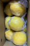 京鮮生 安岳黃檸檬12粒 單果100g+ 生鮮水果 源頭直發(fā)包郵 曬單實(shí)拍圖