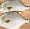 翔泰海南深海金鯧魚(yú)700g 2條 火鍋 生鮮魚(yú)類(lèi) BAP認證 海鮮水產(chǎn) 中秋 曬單實(shí)拍圖