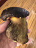 京地達云南特產(chǎn)精品新鮮黑牛肝菌凈重1斤裝牛肝菌鮮菌菇源頭直發(fā)包郵 曬單實(shí)拍圖
